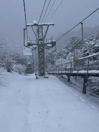 Winter magic in Ine no Funaya (伊根の舟屋), Kyoto ❄️🏘️ A peaceful snow-covered fishing village where tra