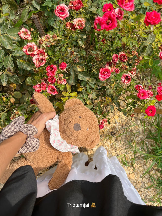 โฮมคาเฟ่ลำปางที่มีสวนดอกไม้น่ารักๆ 🧺🌼