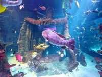 SEA Life Aquarium at LEGOLAND