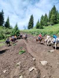 A Memorable Return Journey from Fairy Lake Horseback Riding Trip