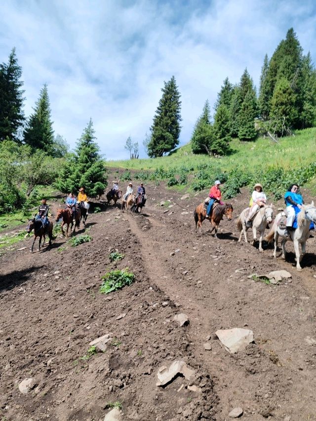 A Memorable Return Journey from Fairy Lake Horseback Riding Trip
