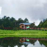 Off the Beaten Path in Cona County And Totally Worth It