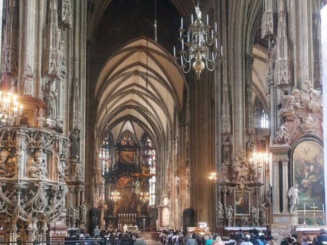 ⛪ 維也納必訪｜聖德斯望主教座堂與黑死病紀念炷