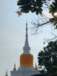 ใครไปมาแล้วบ้าง “พระธาตุนาดูน”