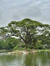 What Locals Love: Why Taman Tasik Permaisuri is a Must-Visit in Cheras