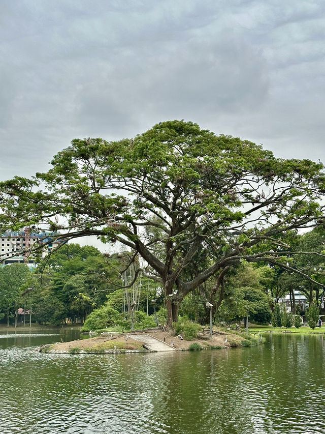 What Locals Love: Why Taman Tasik Permaisuri is a Must-Visit in Cheras