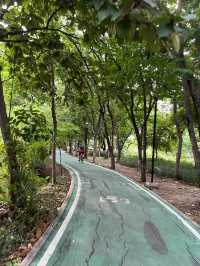 Chatuchak Park สวนจตุจักร