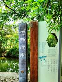 Xixi Wetland: Where Watertown Charm Meets Untamed Nature – A Living Canvas of Jiangnan