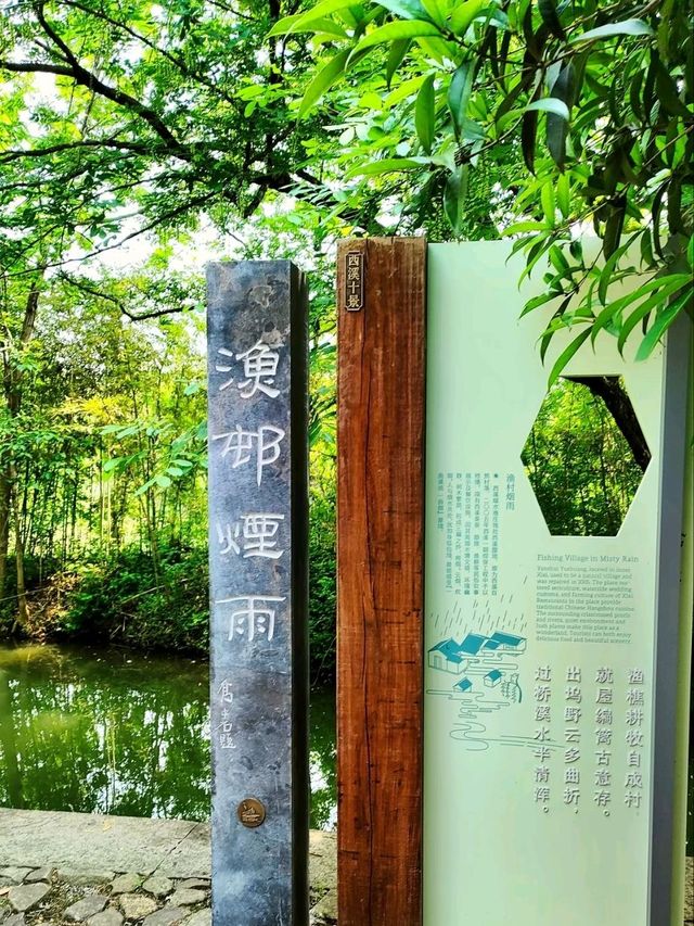 Xixi Wetland: Where Watertown Charm Meets Untamed Nature – A Living Canvas of Jiangnan