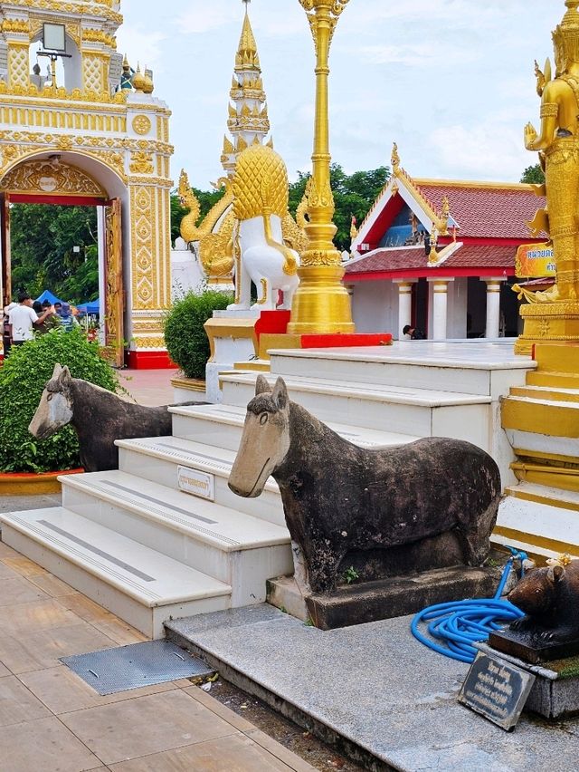 วัดพระธาตุพนมวรมหาวิหาร✨️