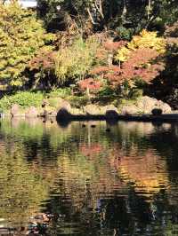 🍁紅葉と異国の風景を歩く秋の横浜散歩　中区　関内　横浜