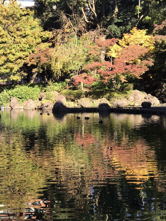 🍁紅葉と異国の風景を歩く秋の横浜散歩　中区　関内　横浜