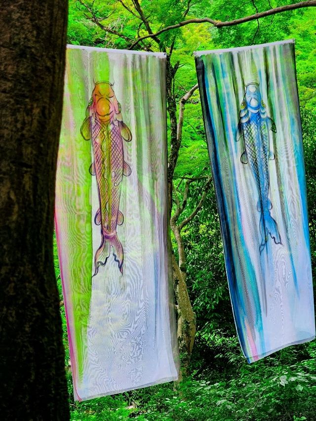 色の魔法に包まれて──光と水が奏でる、嵐山の異空間🎨✨