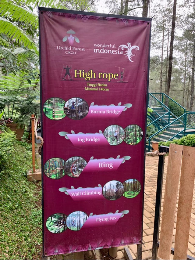 Orchid Forest Cikole
