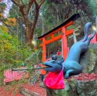 Kyoto