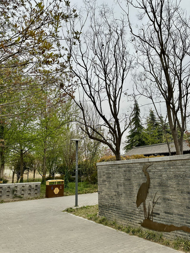 City Calm, Lakeside Light – A Pause at Xiliu Lake Park