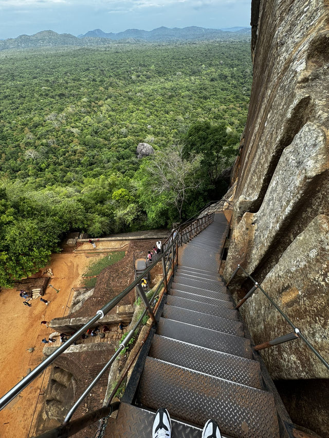 🇱🇰スリランカの絶景スポット【シーギリヤ・ロック】に登ってきた〜!🪨🔥 🇱🇰スリランカの絶景スポット【シーギリヤ・ロック】に登ってきた〜!🪨🔥