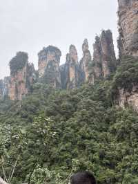 【🇨🇳張家界】大人気観光地”張家界”を最適ルートで巡る裏技！