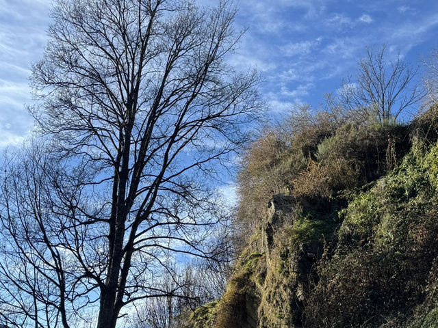 Are still still Gold somewhere in Arrowtown! Are still still Gold somewhere in Arrowtown!