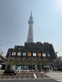 全方位視角:晴空塔的日夜、遠近與高空之美