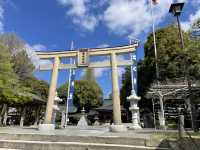 特種兵快閃熊本市區
