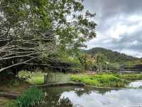🌿 Yanoda — Hainan’s Tropical Rainforest Wonderland