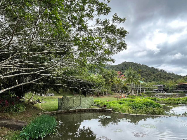 🌿 Yanoda — Hainan’s Tropical Rainforest Wonderland