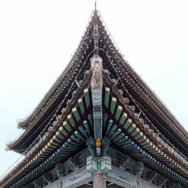 🏯 Xi’an City Wall — Cycling Through 600 Years of History