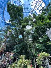 [台中旅遊］國立自然科學博物館🦖及植物園🌳暑假最適合帶小朋友拜訪的室內親子景點🔬