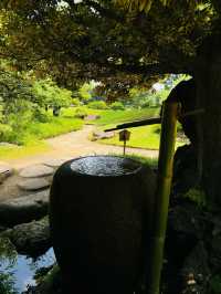 【清澄庭院｜東京深巷裡的幽靜庭園】