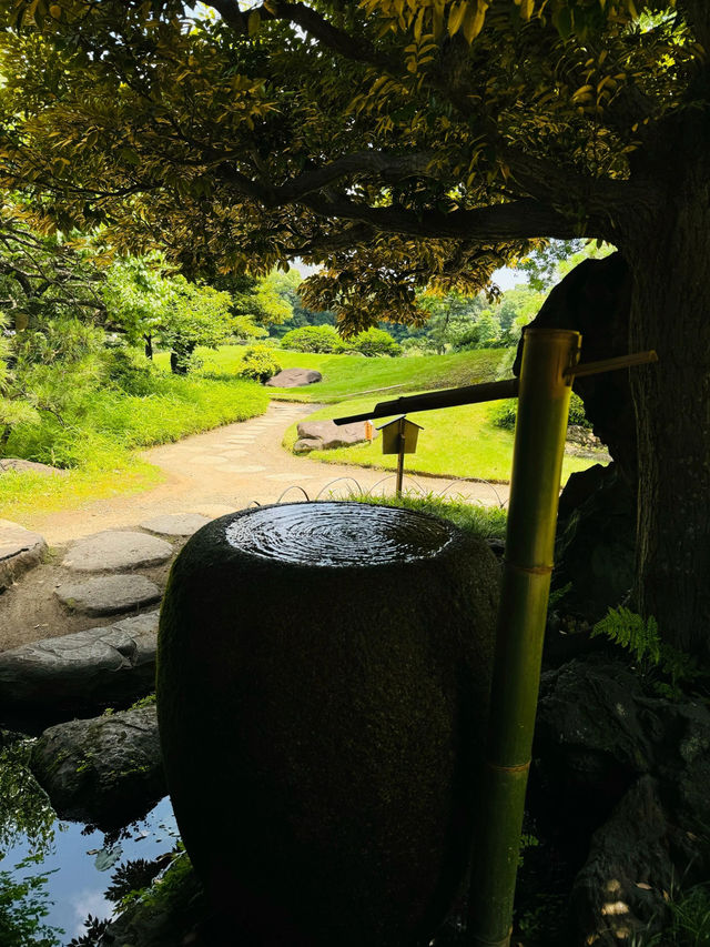 【清澄庭院｜東京深巷裡的幽靜庭園】