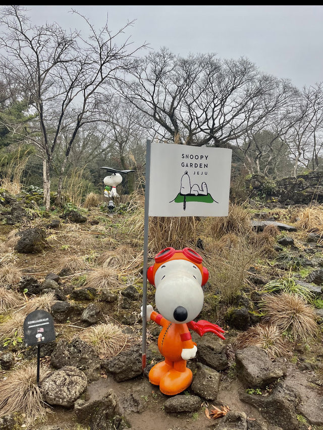 제주 스누피가든, 피너츠와 함께하는 힐링 타임 🌿🐾
