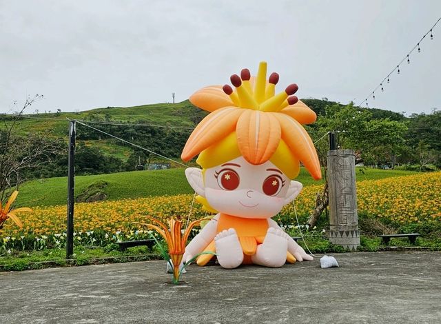 📍 花蓮｜一生必看，山林間的金色花海