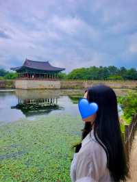 🌙✨역사 속 밤빛과 놀이의 하루, 경주 동궁과월지 & 경주월드🌸🎢