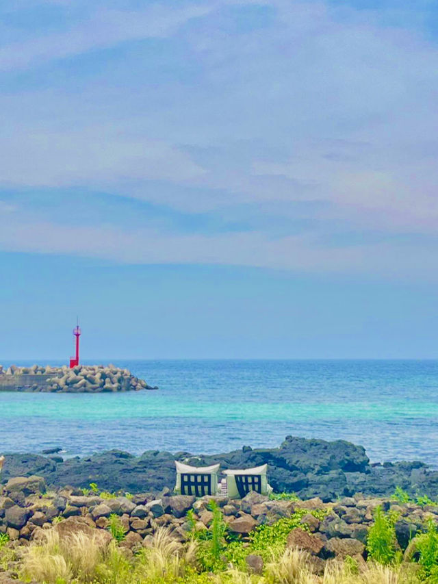 제주, 자연 속 소소한 감성 산책 🍃