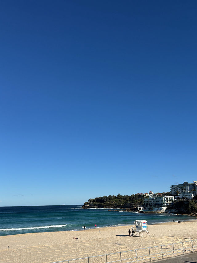 🇦🇺 這是一份詳盡的邦迪海灘遊玩攻略🌊🌊