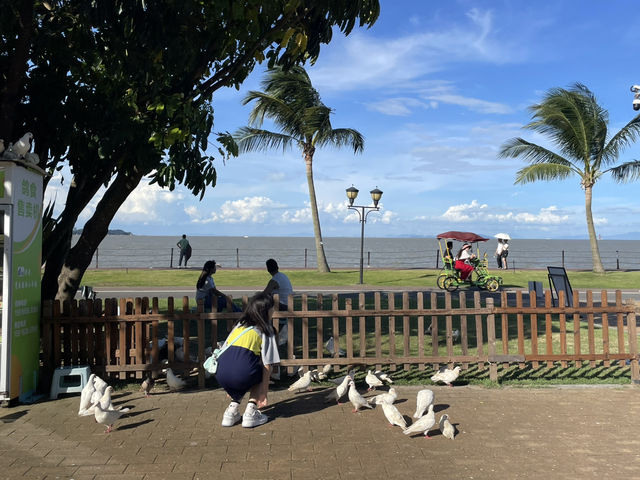 珠海野狸島悠閒漫步日常  🌟