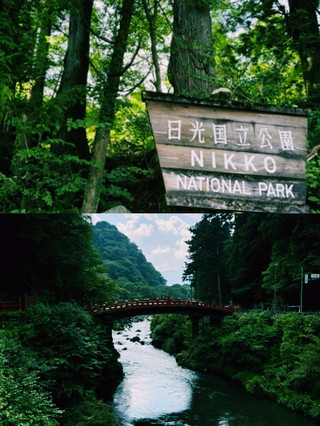 日光國家公園旅遊評論