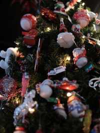 🎄 คริสต์มาสที่อัมสเตอร์ดัม เมืองแห่งแสงไฟอบอุ่น