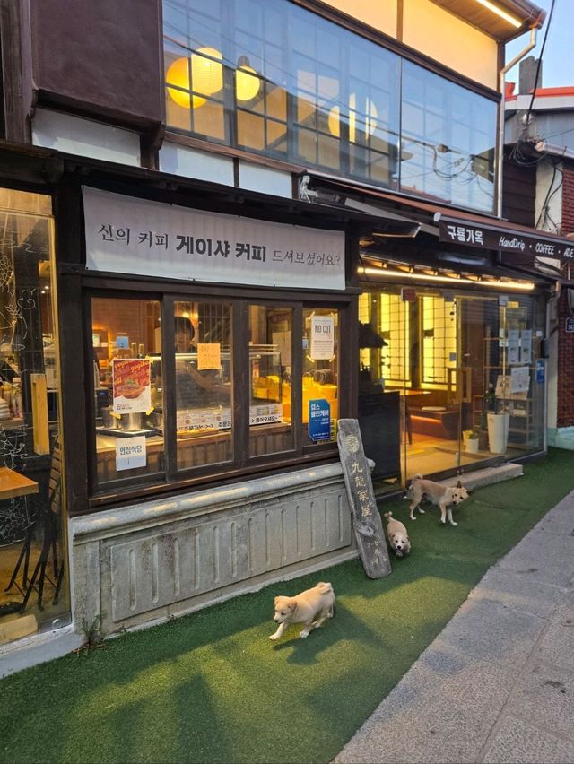 여전히 포항여행 필수코스인 구룡포💜