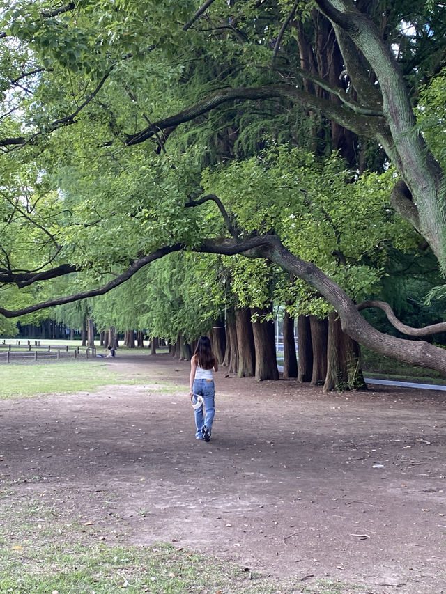 上海4A級國家森林公園-共青森林公園🌳🌿🐿️