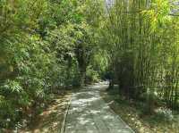 深圳｜深圳灣公園