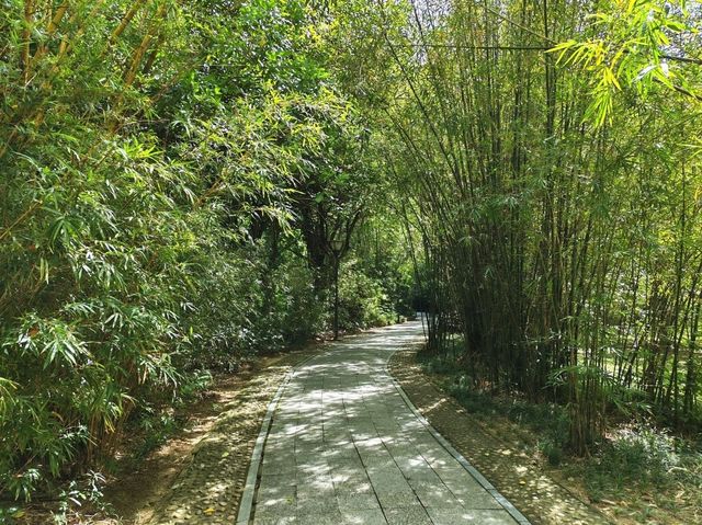 深圳｜深圳灣公園
