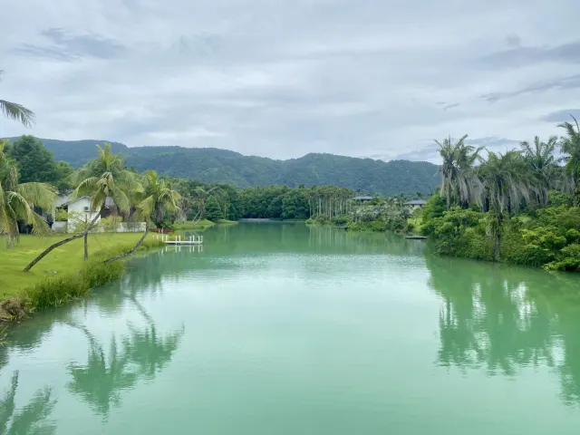 花蓮雲山水夢幻湖的湖畔落羽松與遠山倒映在湖面上