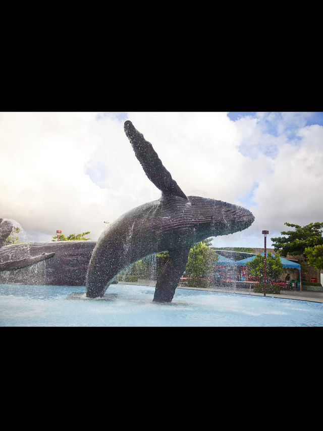 台灣海洋生物博物館  