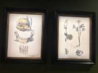 油街藝術展：花園之旅🌿！免費入場！