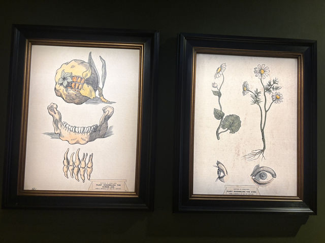 油街藝術展：花園之旅🌿！免費入場！