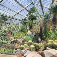 Kew Gardens (큐 가든, Royal Botanic Gardens)