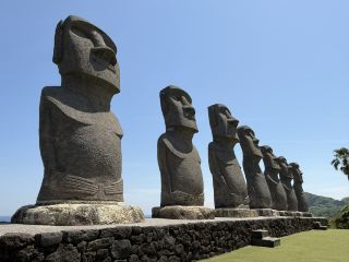 Explore Nichinan Sunflower Garden Up Close