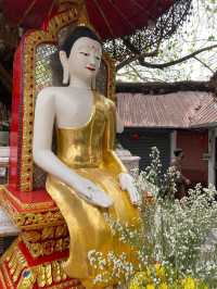 泰國🇹🇭清邁 此生看過最金光閃閃的寺廟｜素帖寺 雙龍寺